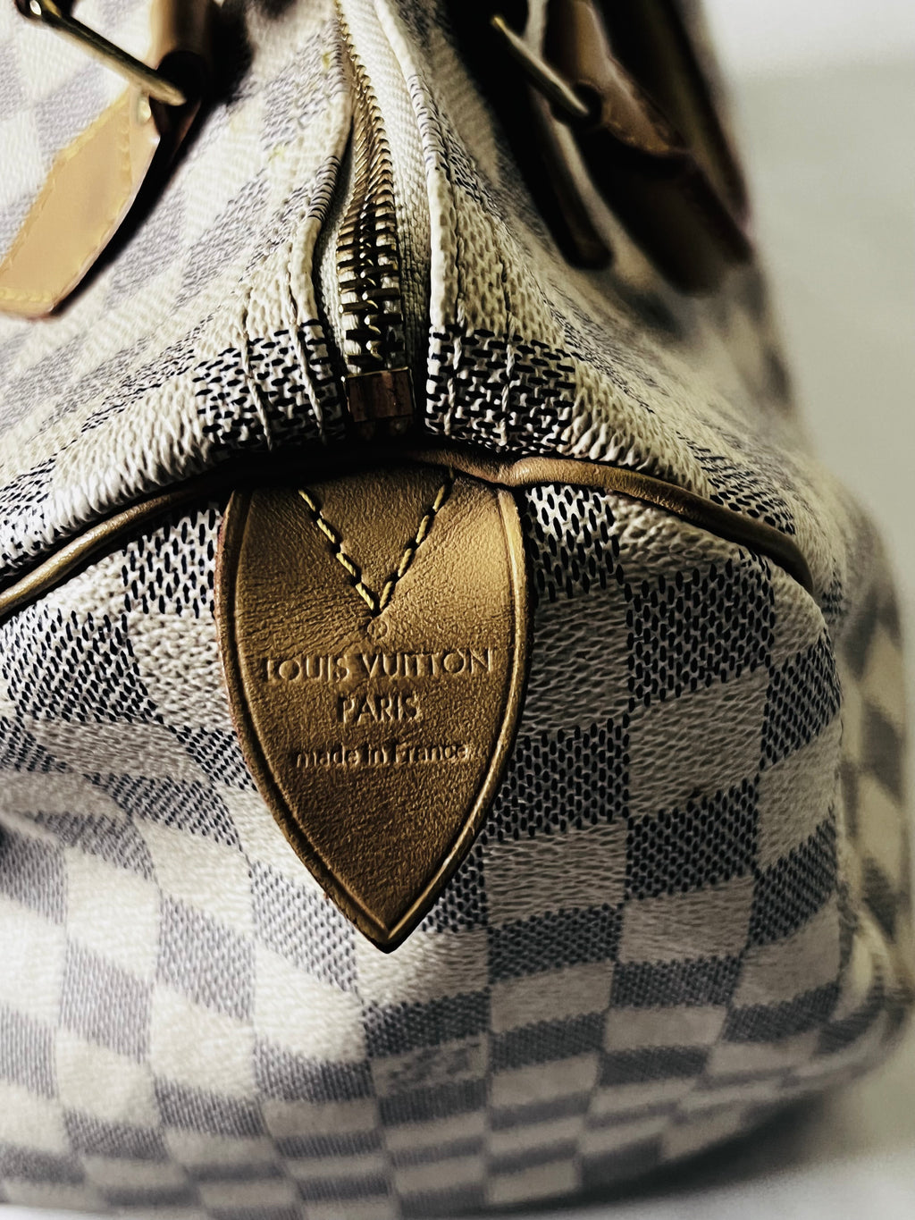 Louis Vuitton Speedy 30 in Damien Azur Canvas