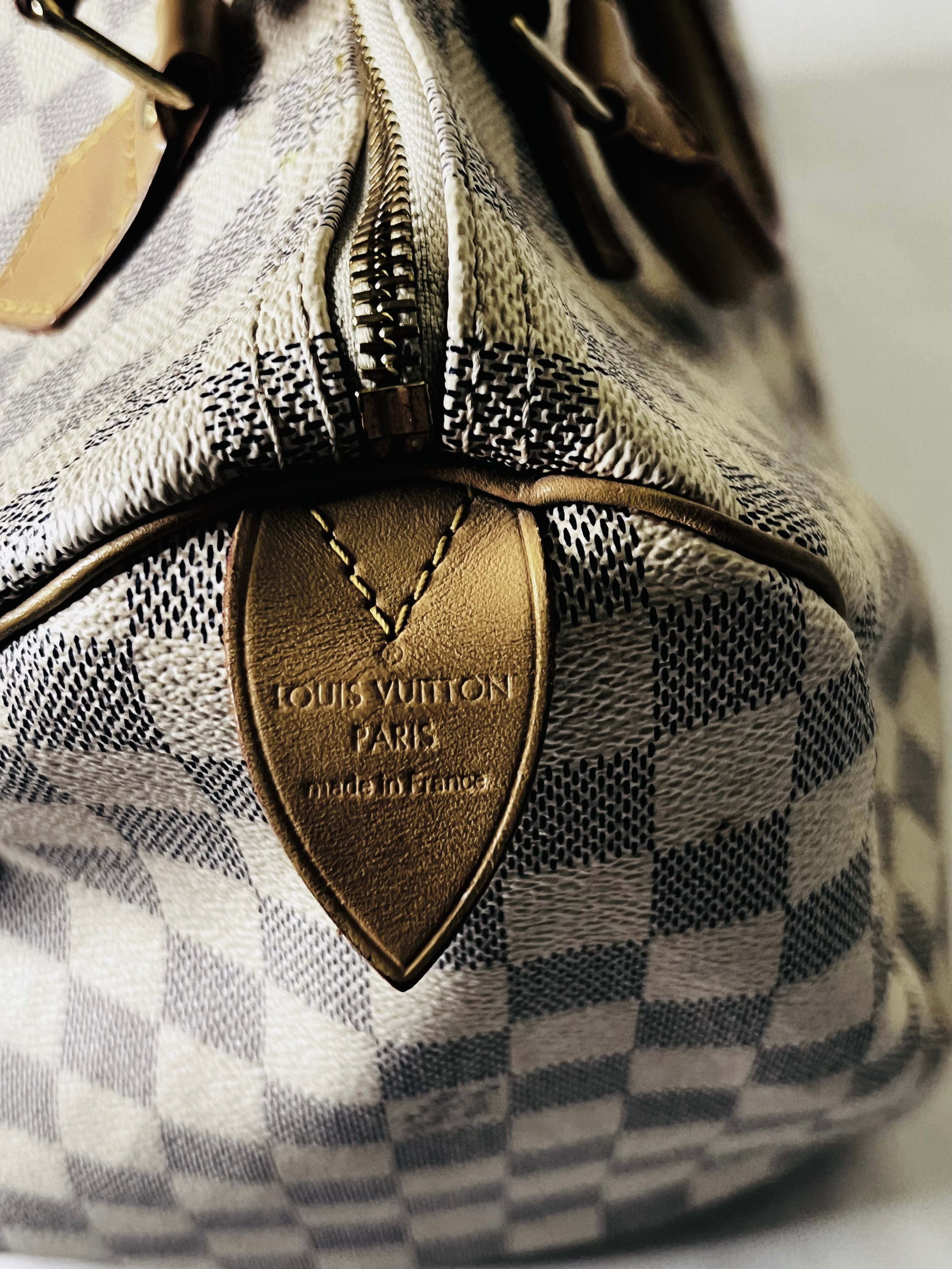 Louis Vuitton Speedy 30 in Damien Azur Canvas
