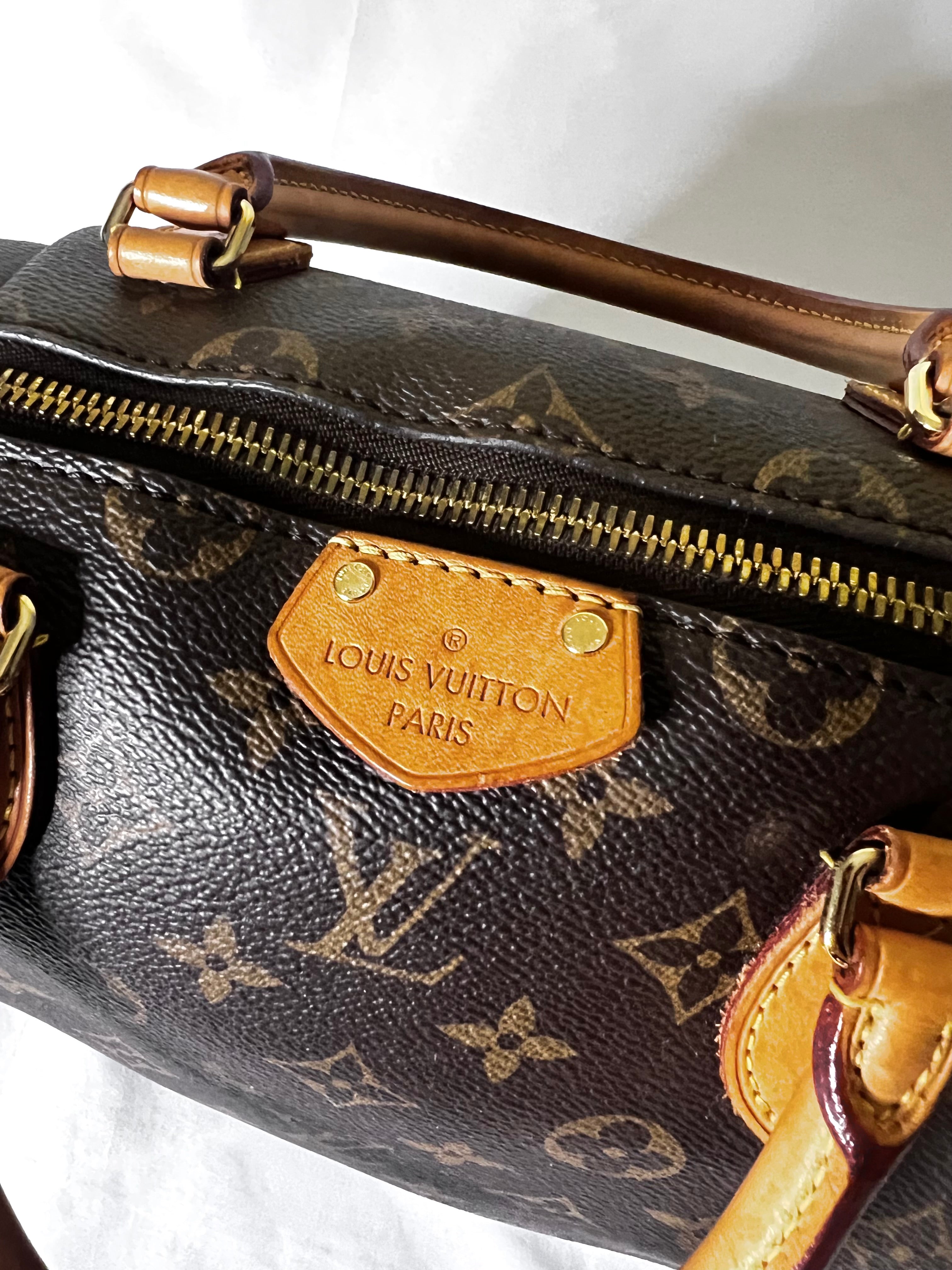 Louis Vuitton Turenne Handbag PM