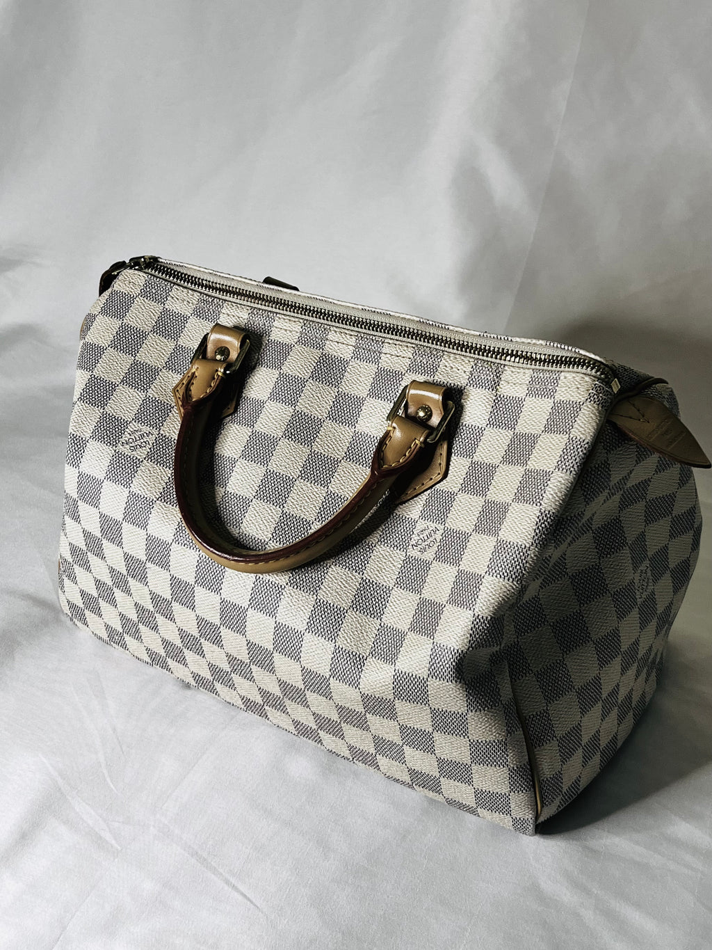 Louis Vuitton Speedy 30 in Damien Azur Canvas