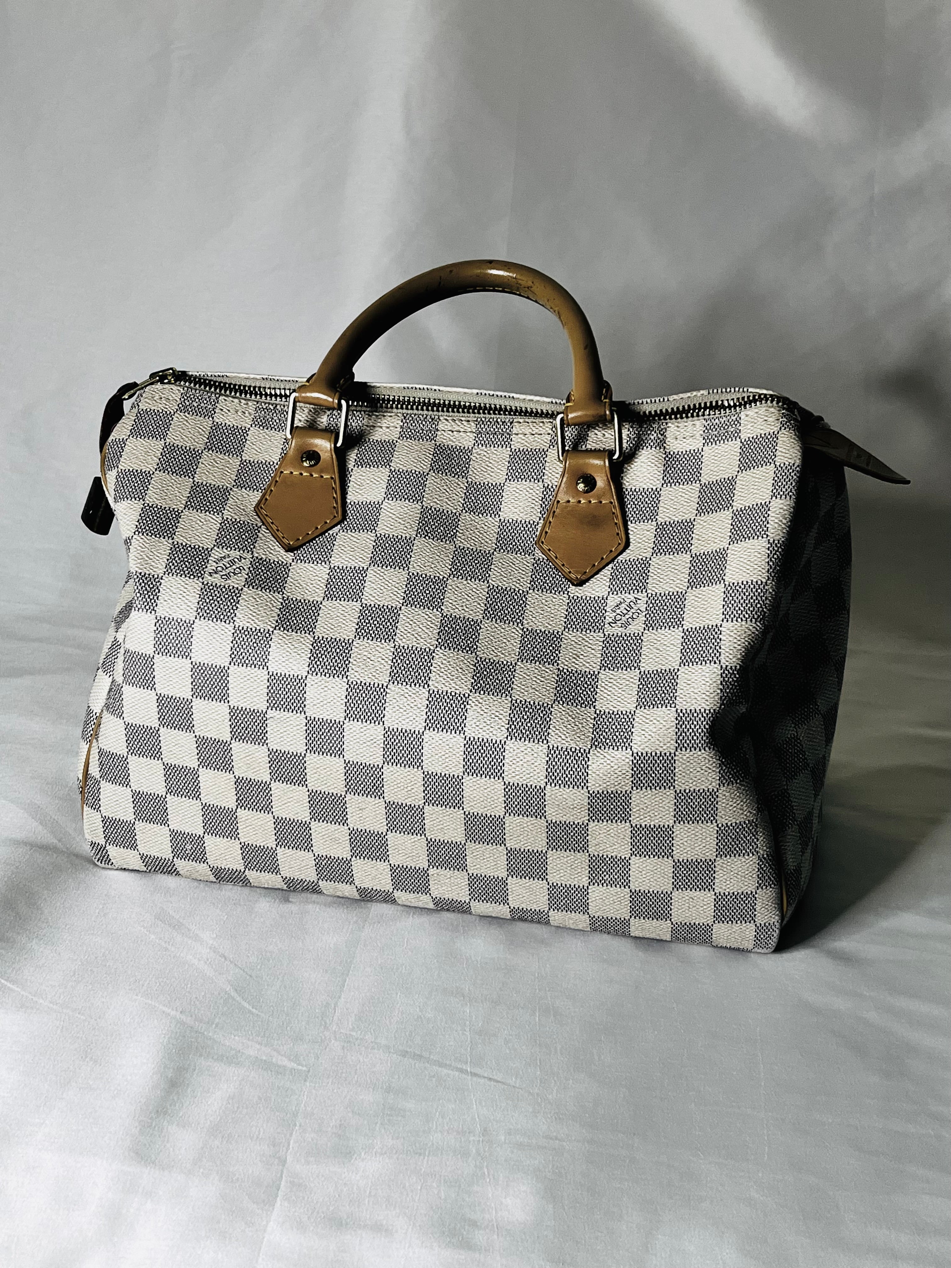 Louis Vuitton Speedy 30 in Damien Azur Canvas